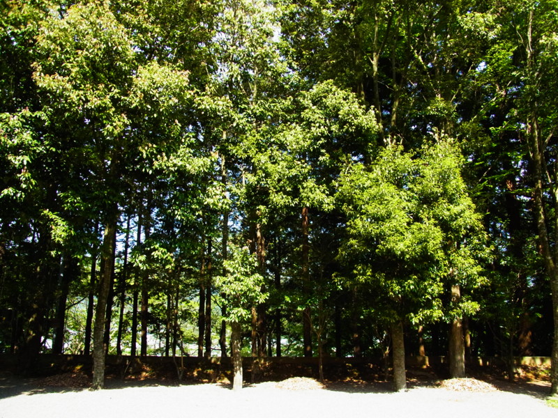 f:id:gakigakiga:20120514143736j:image f:id:gakigakiga:20120514143736j:image