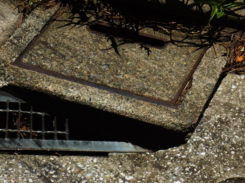 f:id:gakigakiga:20120717105706j:image f:id:gakigakiga:20120717105706j:image