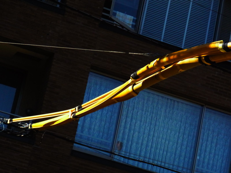 f:id:gakigakiga:20120821153417j:image f:id:gakigakiga:20120821153417j:image
