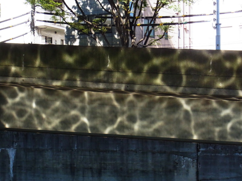 f:id:gakigakiga:20120826144045j:image f:id:gakigakiga:20120826144045j:image
