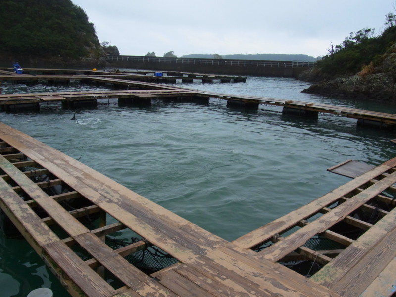 f:id:gakigakiga:20121017150407j:image f:id:gakigakiga:20121017150407j:image