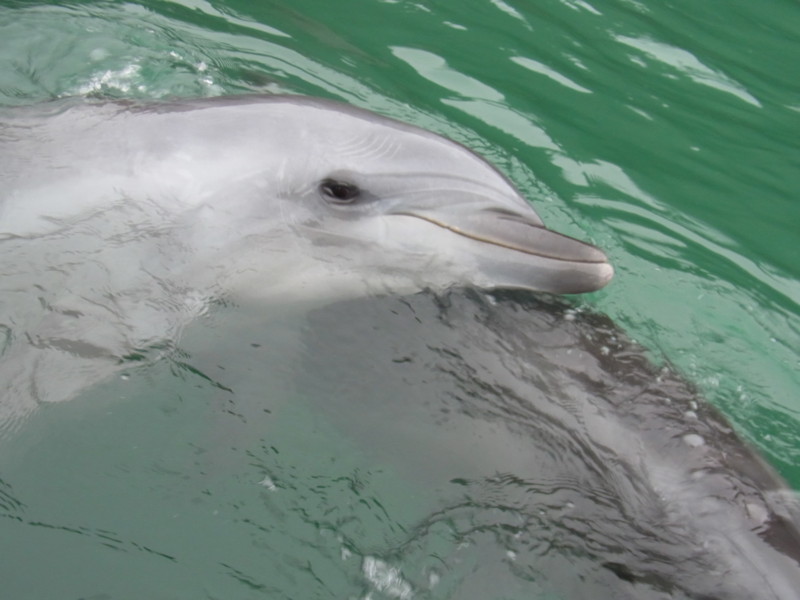 f:id:gakigakiga:20121017150604j:image f:id:gakigakiga:20121017150604j:image