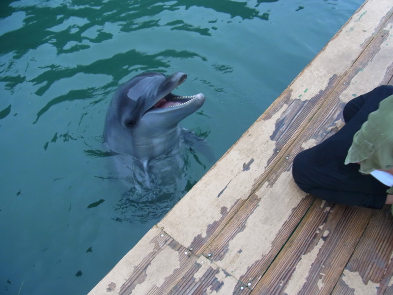 f:id:gakigakiga:20121017150823j:image f:id:gakigakiga:20121017150823j:image
