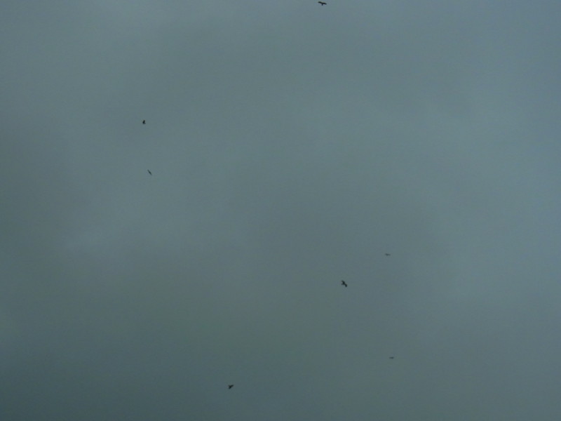 f:id:gakigakiga:20121017161018j:image f:id:gakigakiga:20121017161018j:image