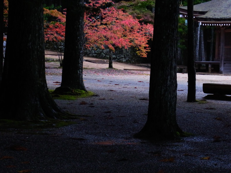 f:id:gakigakiga:20121018125003j:image f:id:gakigakiga:20121018125003j:image