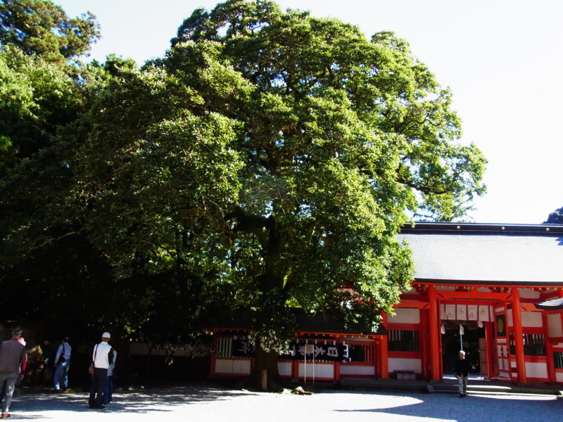 f:id:gakigakiga:20121019142345j:image f:id:gakigakiga:20121019142345j:image