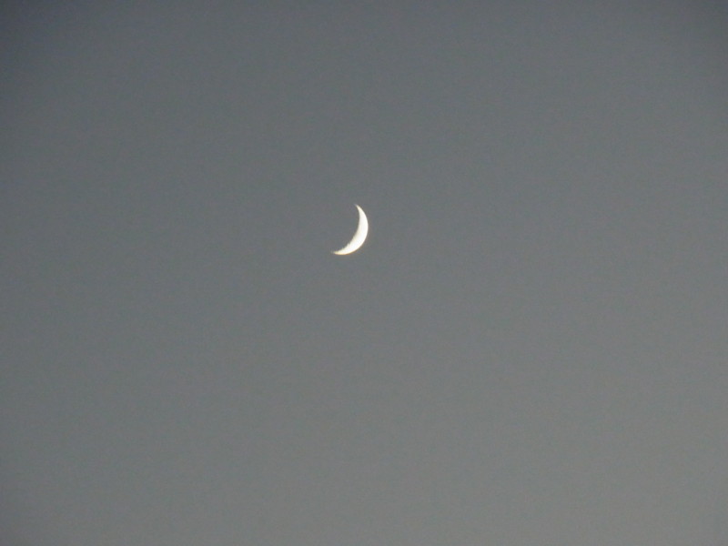 f:id:gakigakiga:20121019173220j:image f:id:gakigakiga:20121019173220j:image