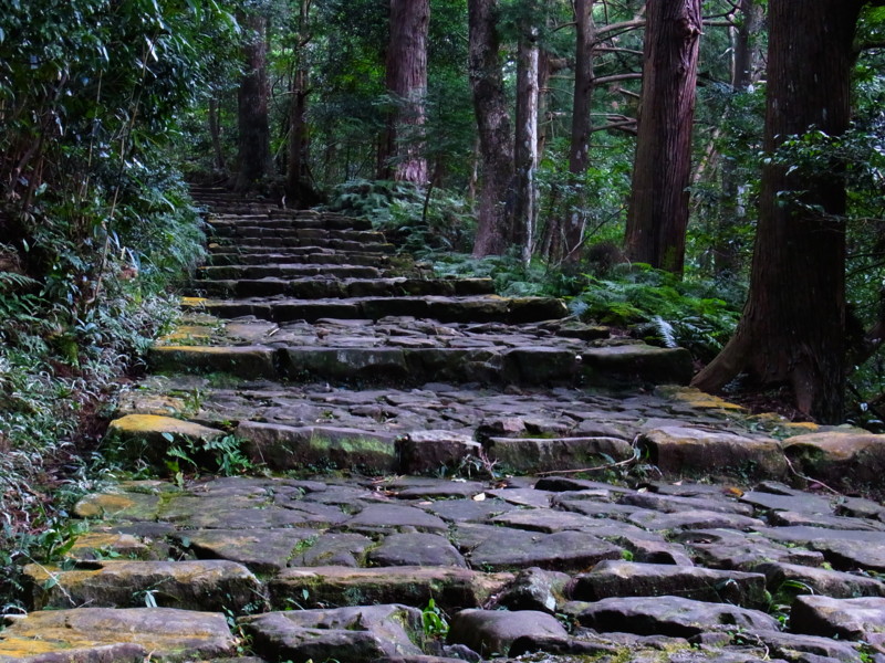f:id:gakigakiga:20121020123722j:image f:id:gakigakiga:20121020123722j:image
