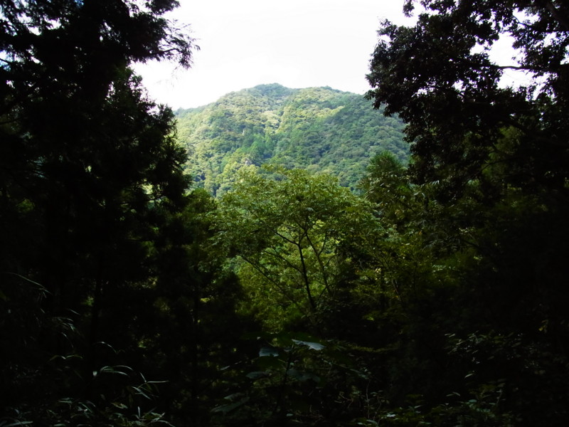 f:id:gakigakiga:20121020123735j:image f:id:gakigakiga:20121020123735j:image
