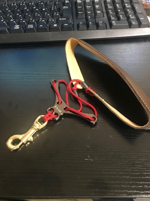 f:id:gakkicustom4:20190620193627j:plain