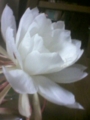20120717225954