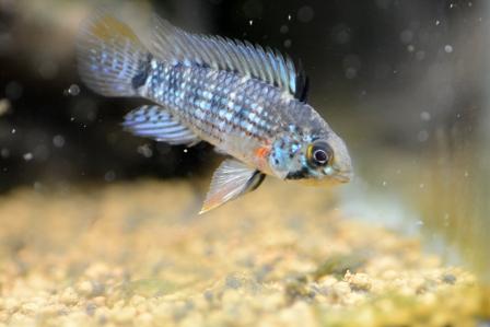 f:id:gakmaru:20180912093719j:plain f:id:gakmaru:20180912093719j:plain