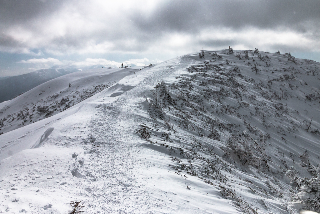 f:id:gaktraverse:20190219202855j:plain