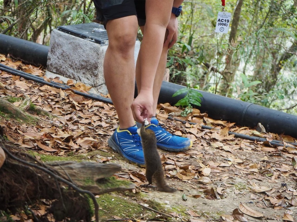 f:id:gaktraverse:20190906180511j:plain f:id:gaktraverse:20190906180511j:plain