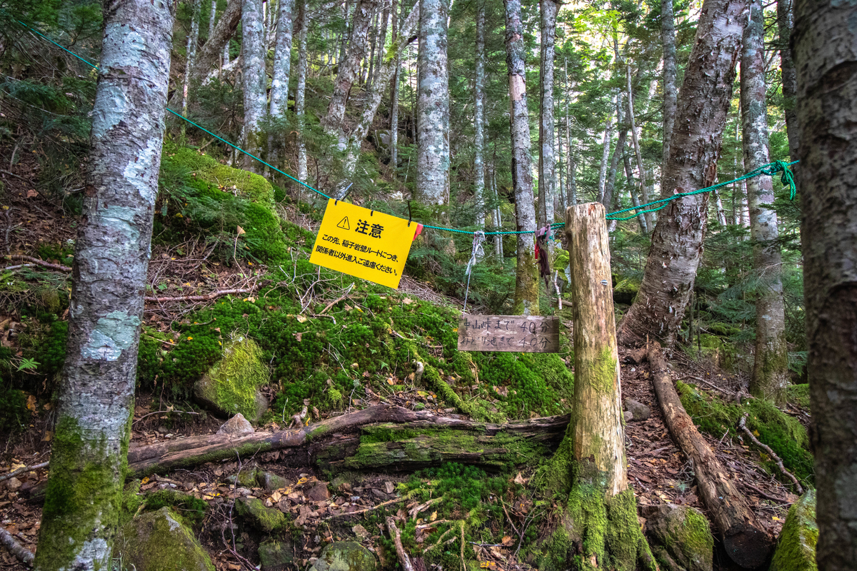 f:id:gaktraverse:20191009115108j:plain