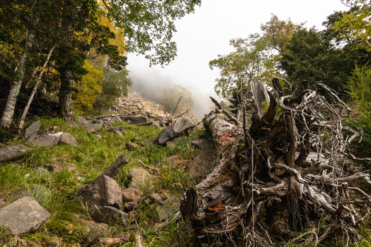 f:id:gaktraverse:20191009115119j:plain