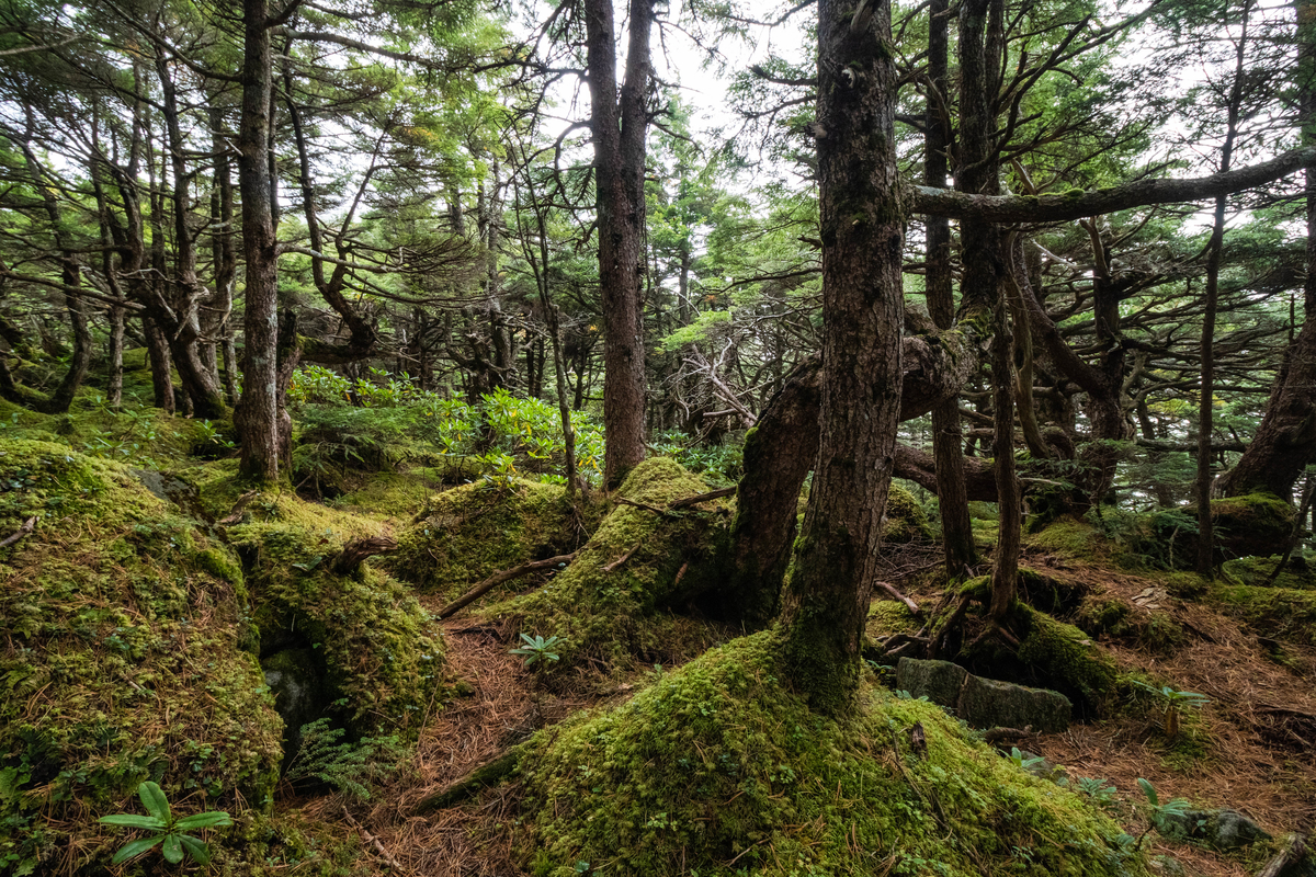 f:id:gaktraverse:20191009115128j:plain