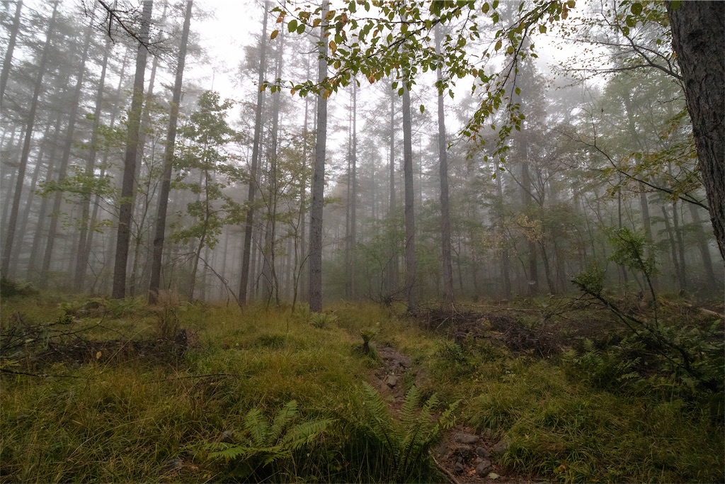 f:id:gaktraverse:20191010072845j:image