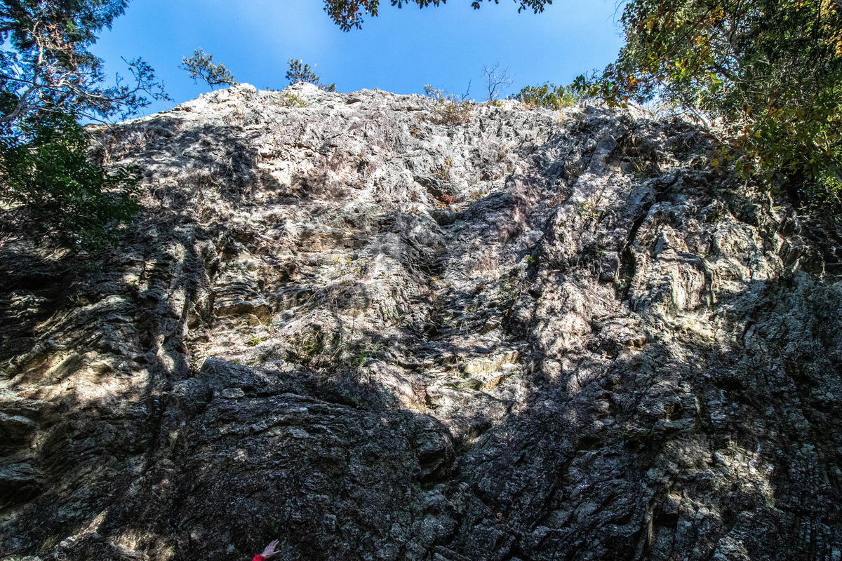 f:id:gaktraverse:20191201183232j:plain f:id:gaktraverse:20191201183232j:plain