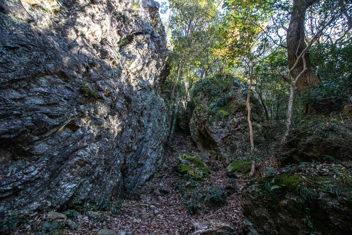 f:id:gaktraverse:20191201183239j:plain f:id:gaktraverse:20191201183239j:plain