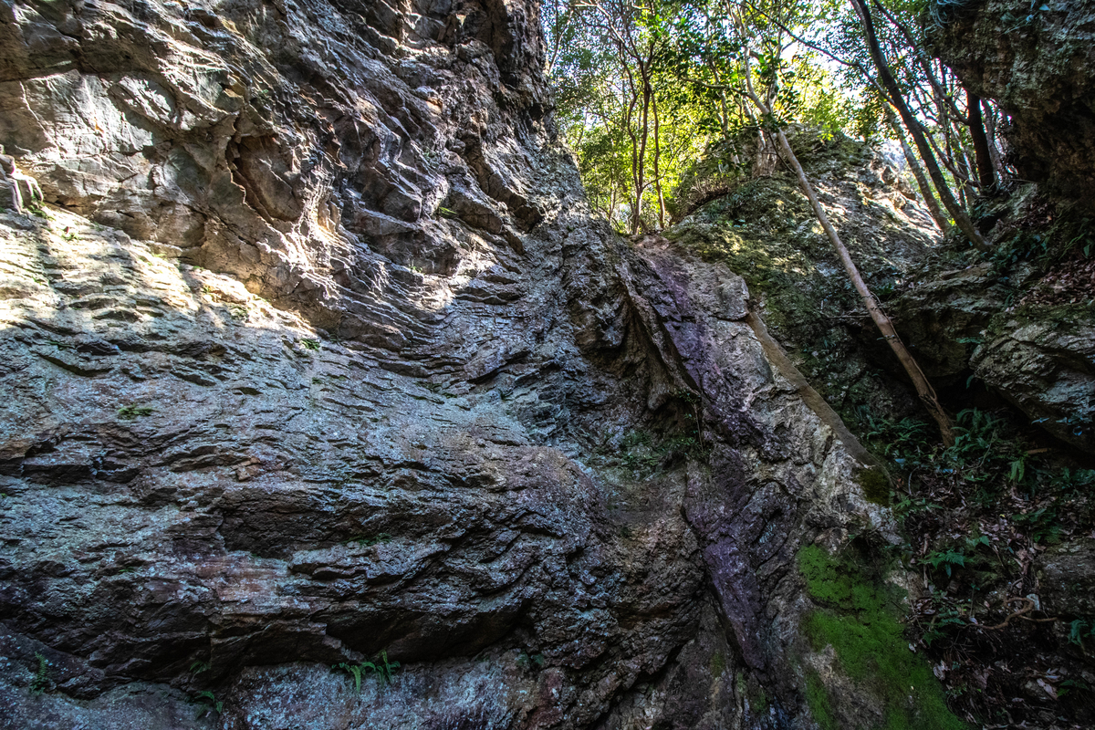 f:id:gaktraverse:20191201183258j:plain f:id:gaktraverse:20191201183258j:plain