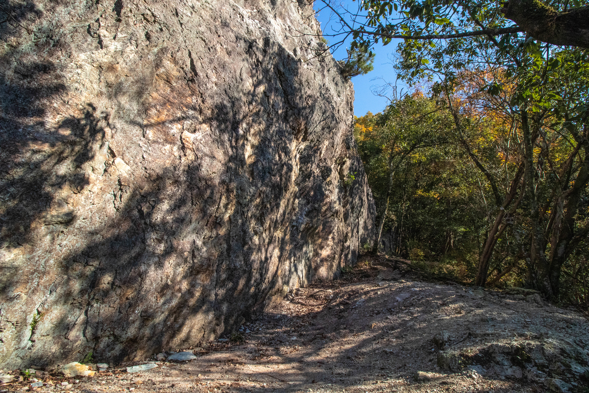 f:id:gaktraverse:20191201183347j:plain f:id:gaktraverse:20191201183347j:plain