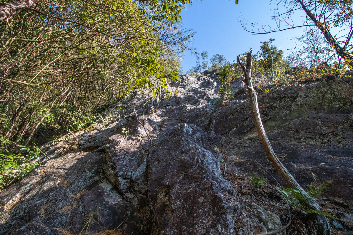 f:id:gaktraverse:20191201183403j:plain f:id:gaktraverse:20191201183403j:plain