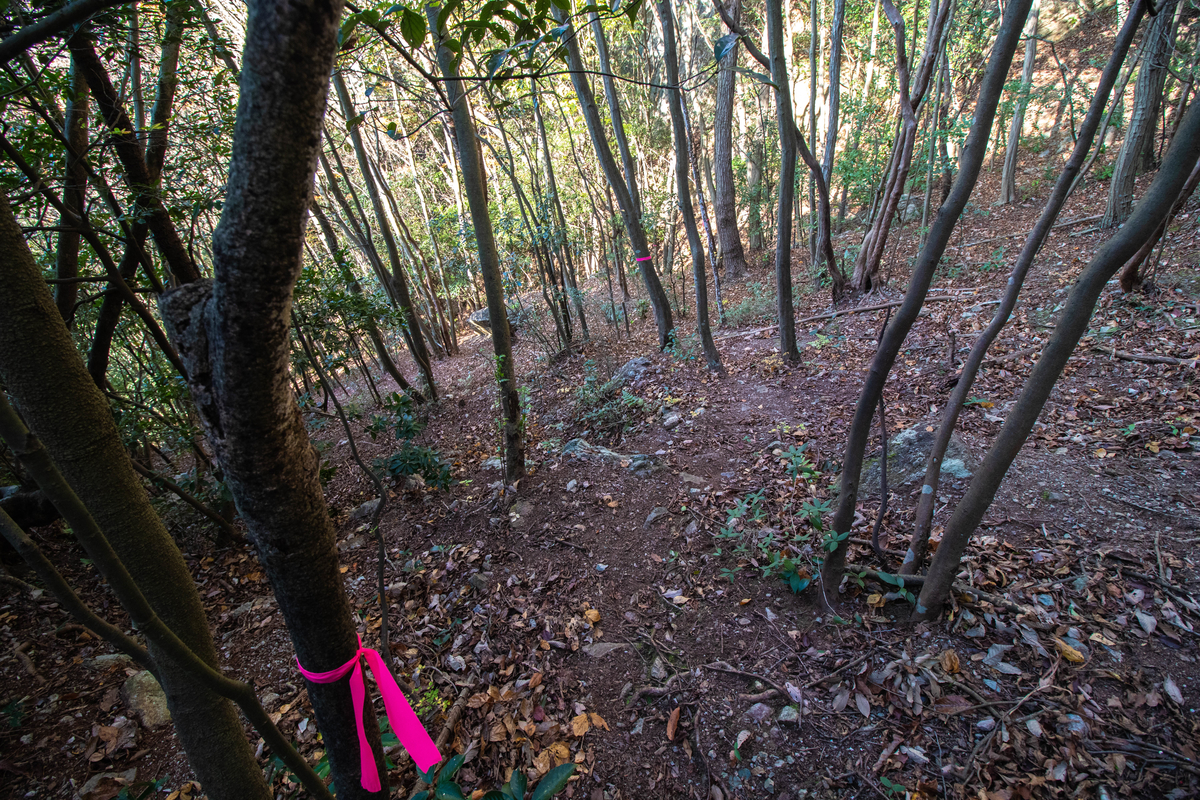 f:id:gaktraverse:20191201183548j:plain f:id:gaktraverse:20191201183548j:plain