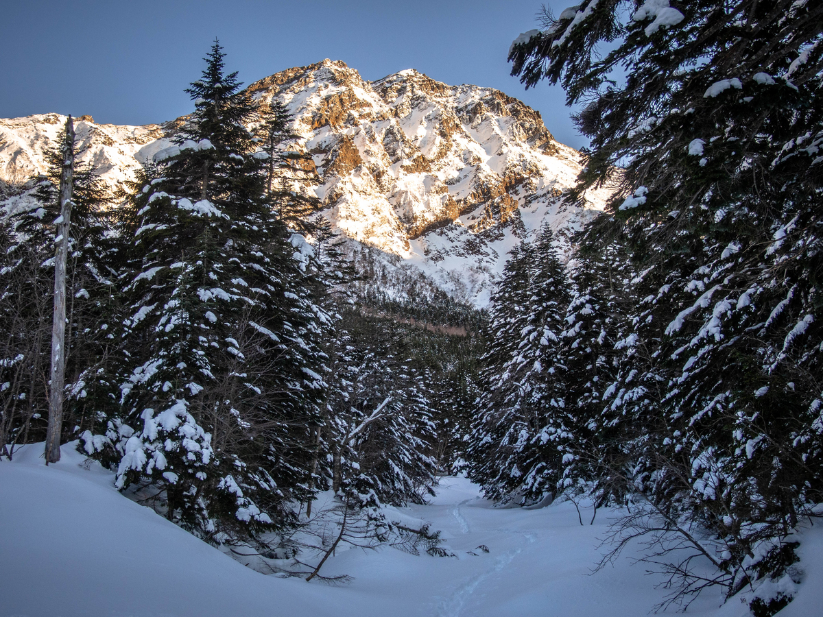 f:id:gaktraverse:20200215123543j:plain f:id:gaktraverse:20200215123543j:plain