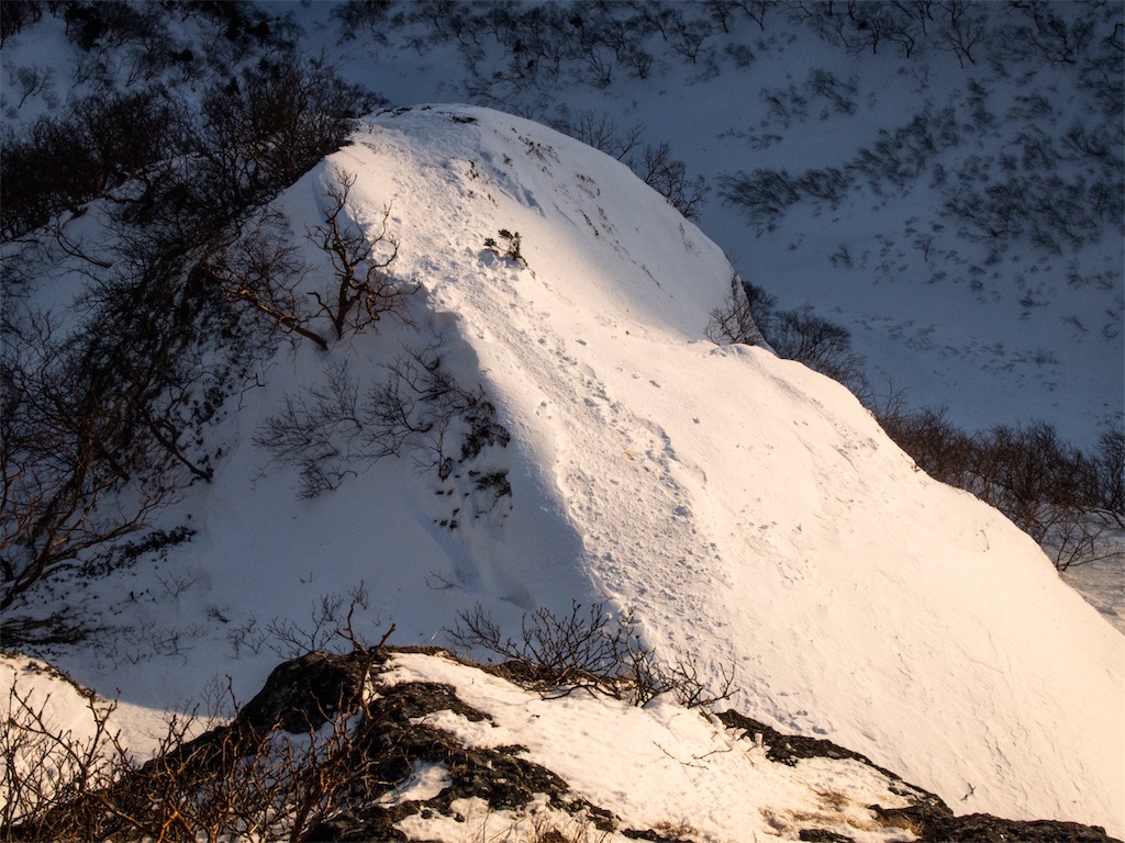 f:id:gaktraverse:20200215124557j:plain f:id:gaktraverse:20200215124557j:plain