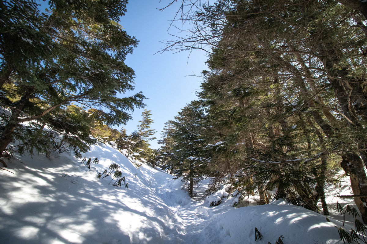 f:id:gaktraverse:20200309103435j:plain