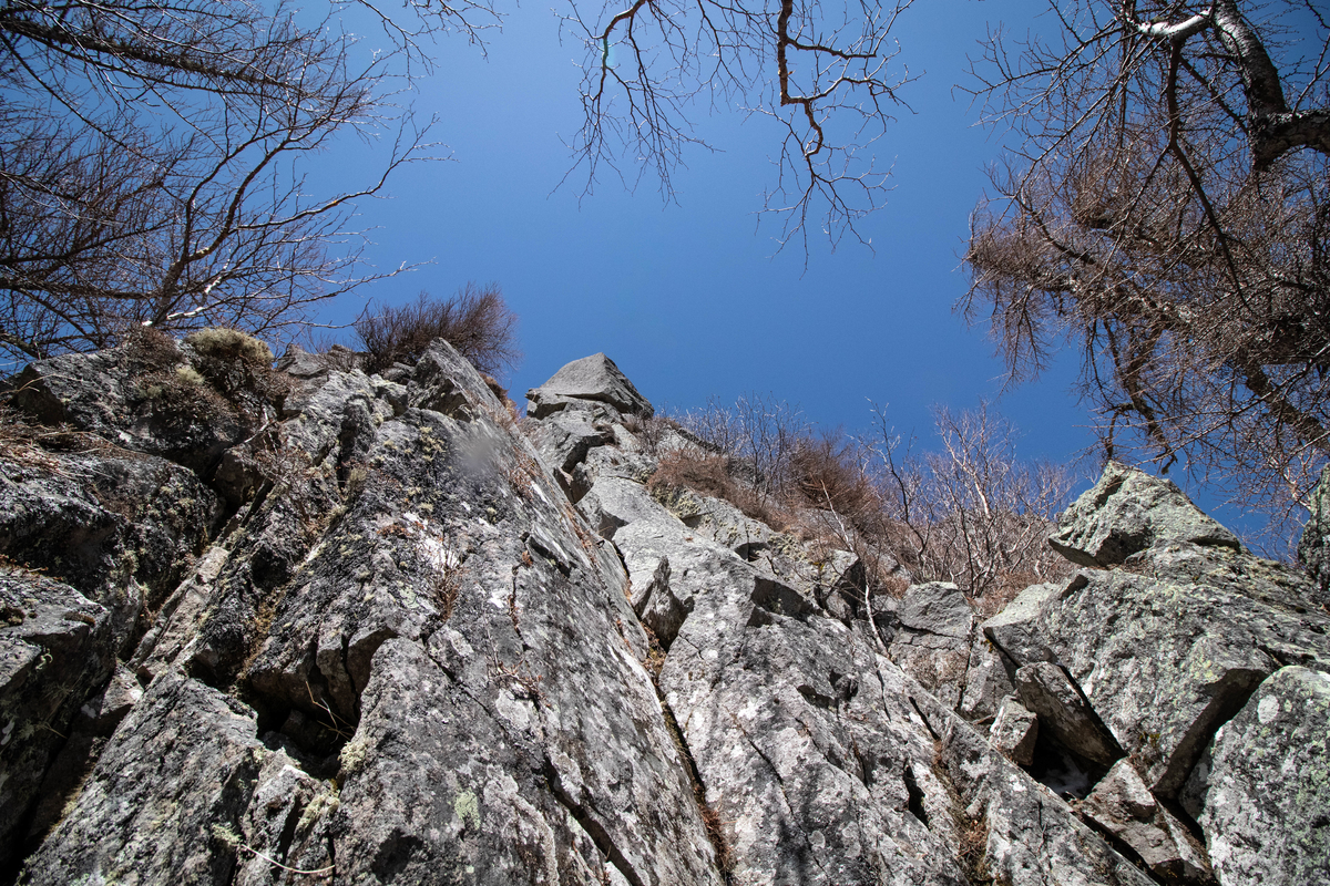 f:id:gaktraverse:20200309121139j:plain