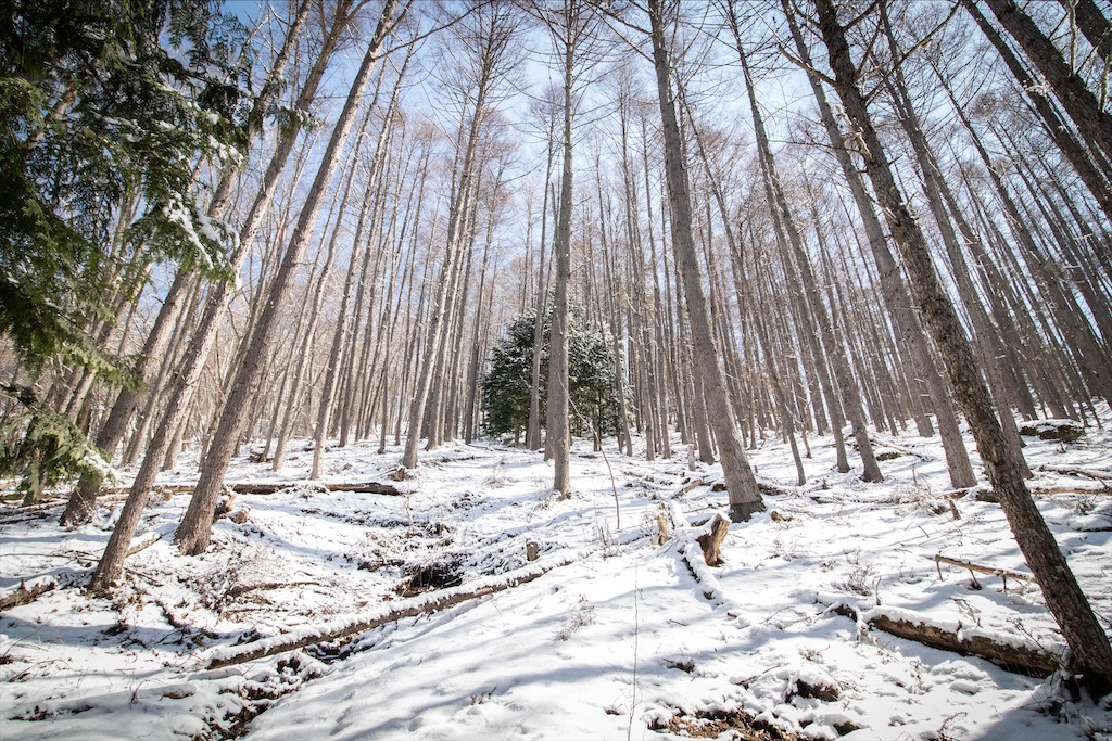 f:id:gaktraverse:20200818150301j:image