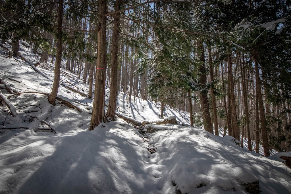 f:id:gaktraverse:20200818150317j:image