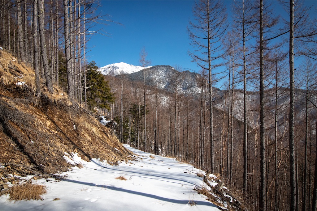 f:id:gaktraverse:20200818150521j:image