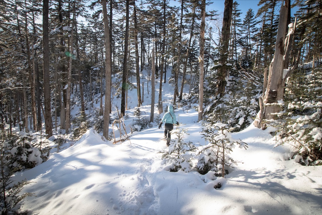 f:id:gaktraverse:20200818150534j:image