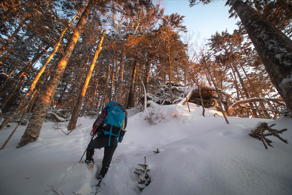 f:id:gaktraverse:20200818150548j:image