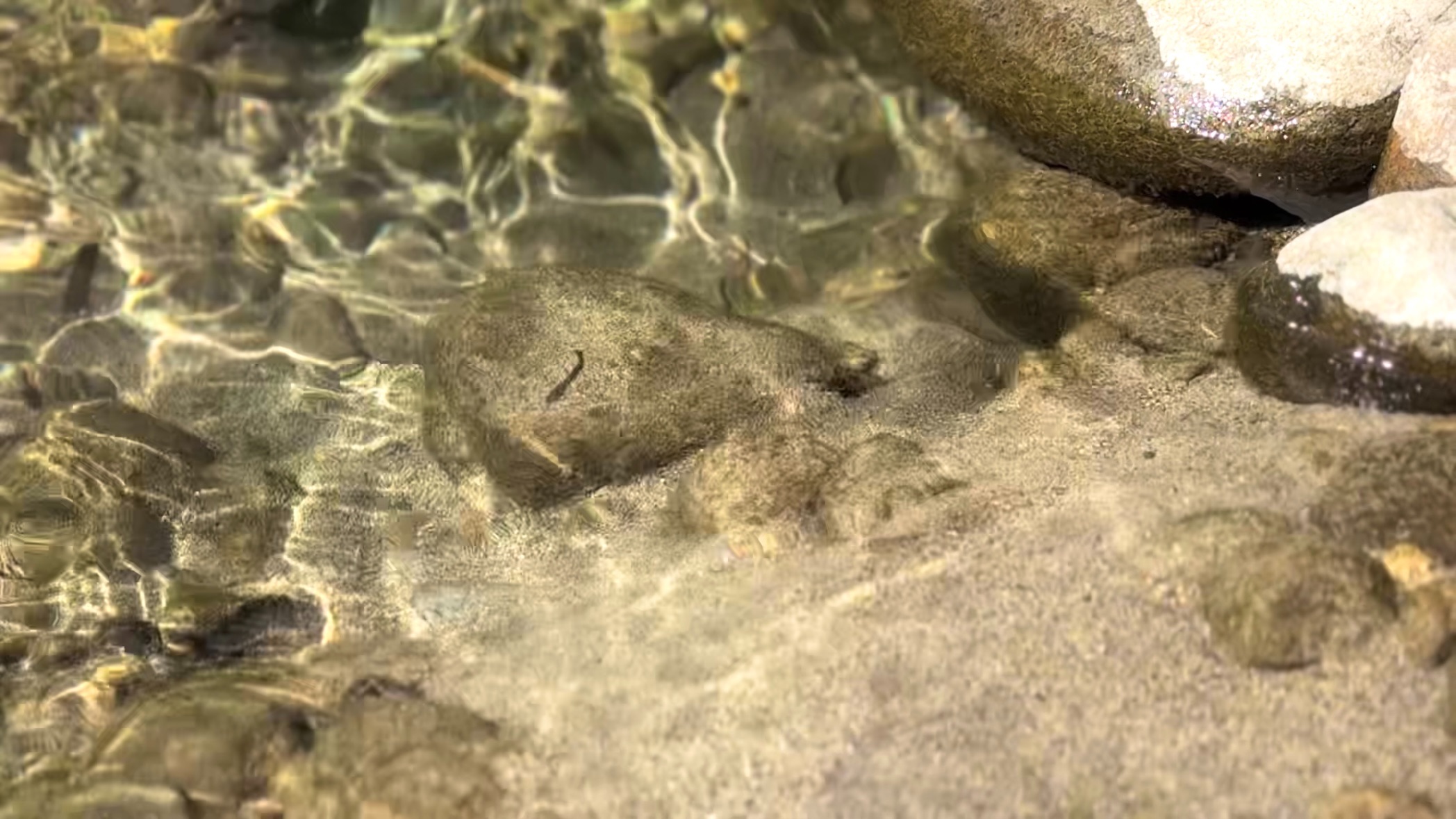 f:id:gaktraverse:20231014143858j:image