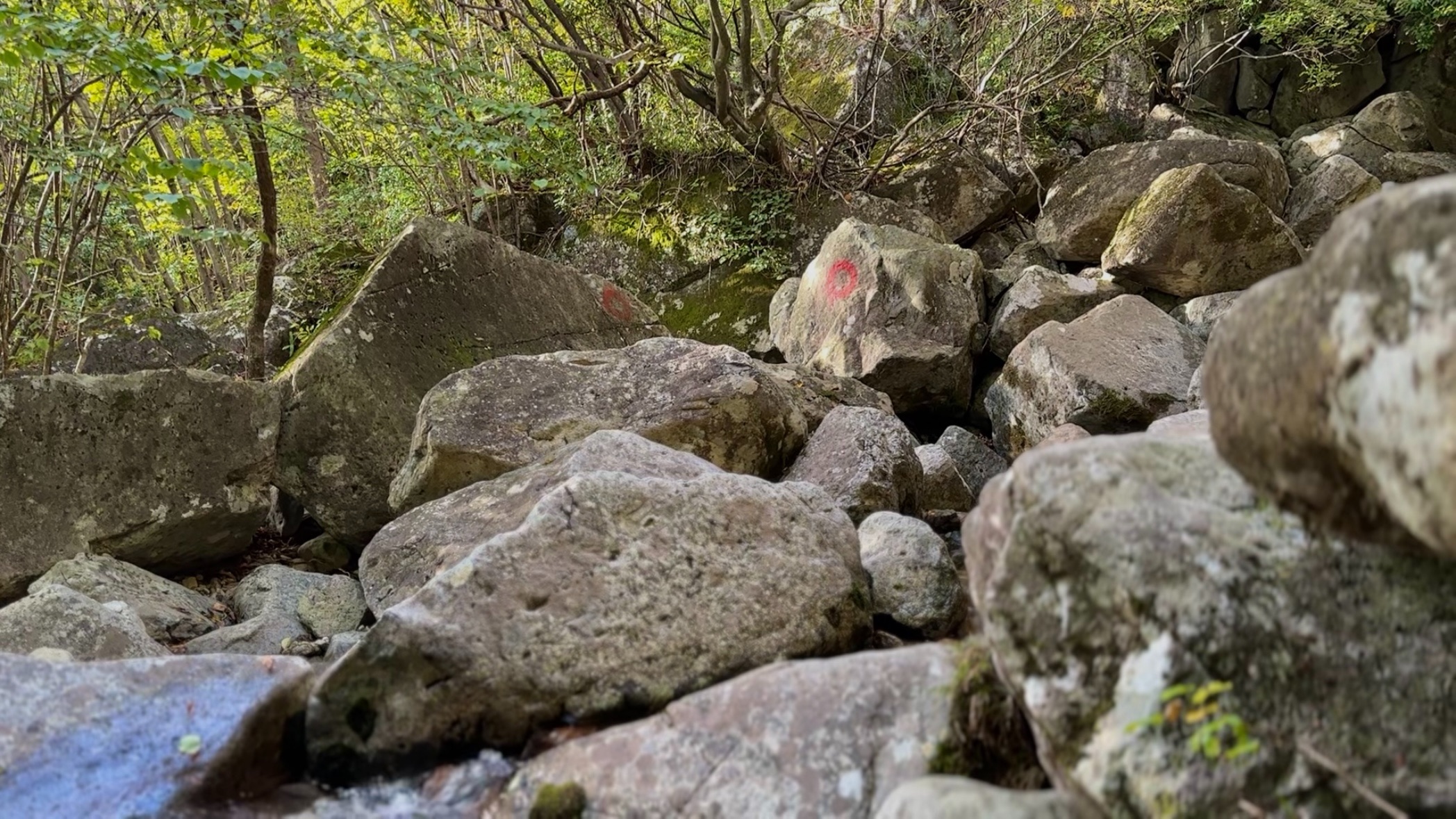 f:id:gaktraverse:20231020091304j:image f:id:gaktraverse:20231020091304j:image
