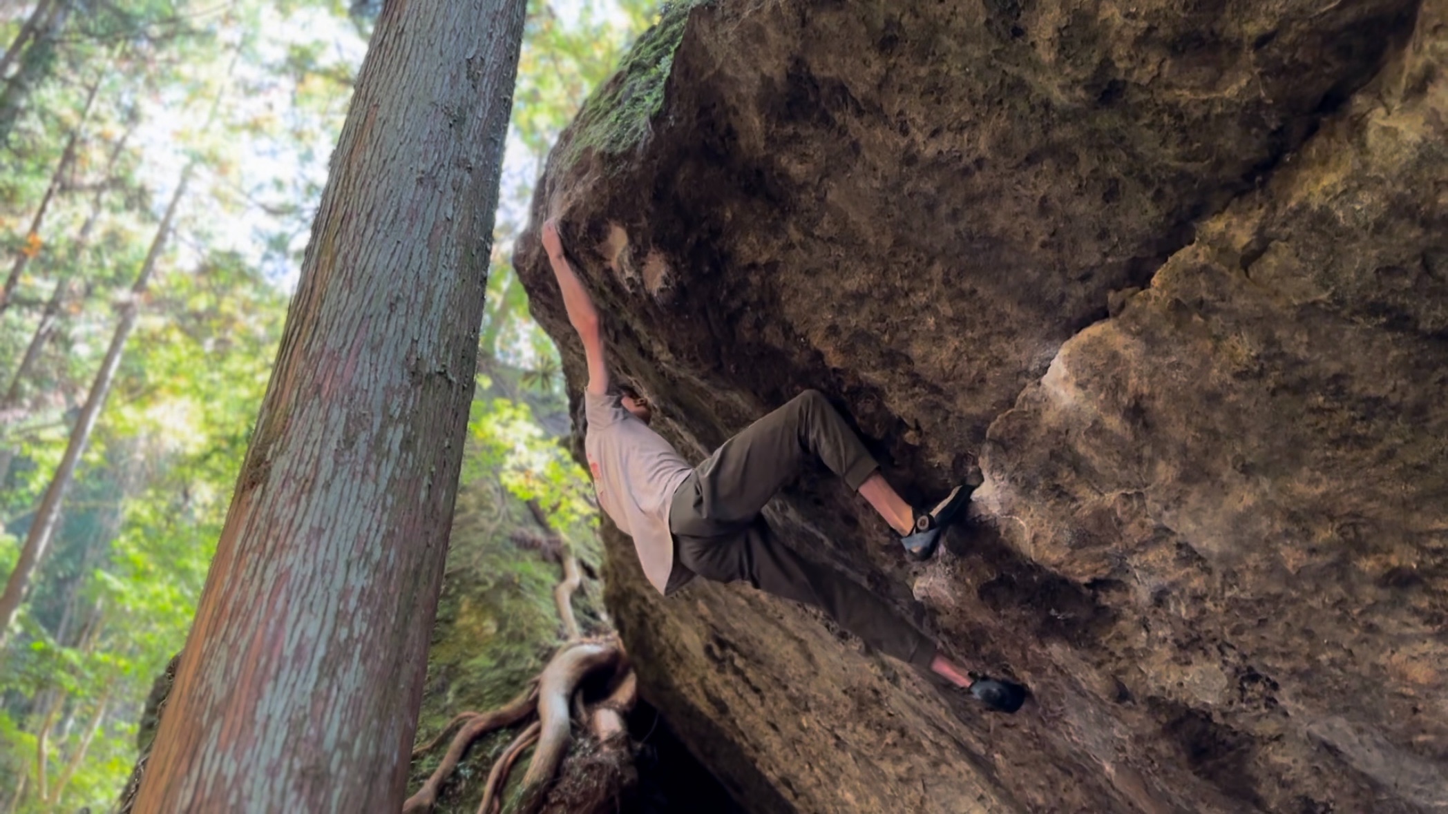 f:id:gaktraverse:20231103230831j:image f:id:gaktraverse:20231103230831j:image