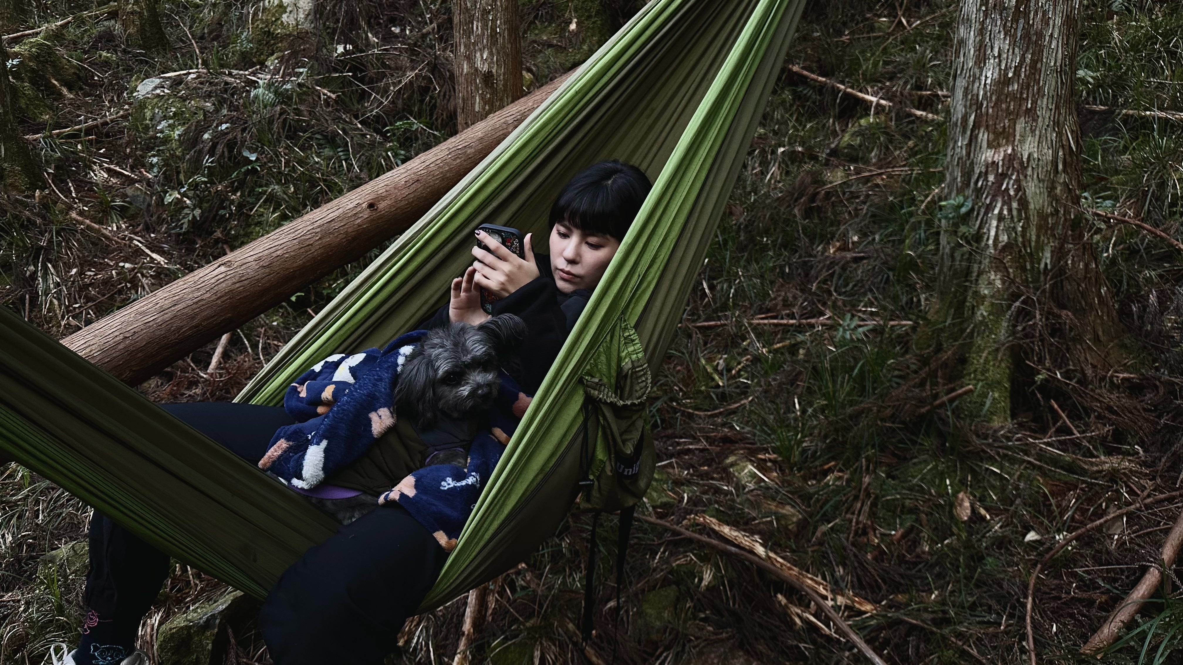 f:id:gaktraverse:20231103230855j:image f:id:gaktraverse:20231103230855j:image
