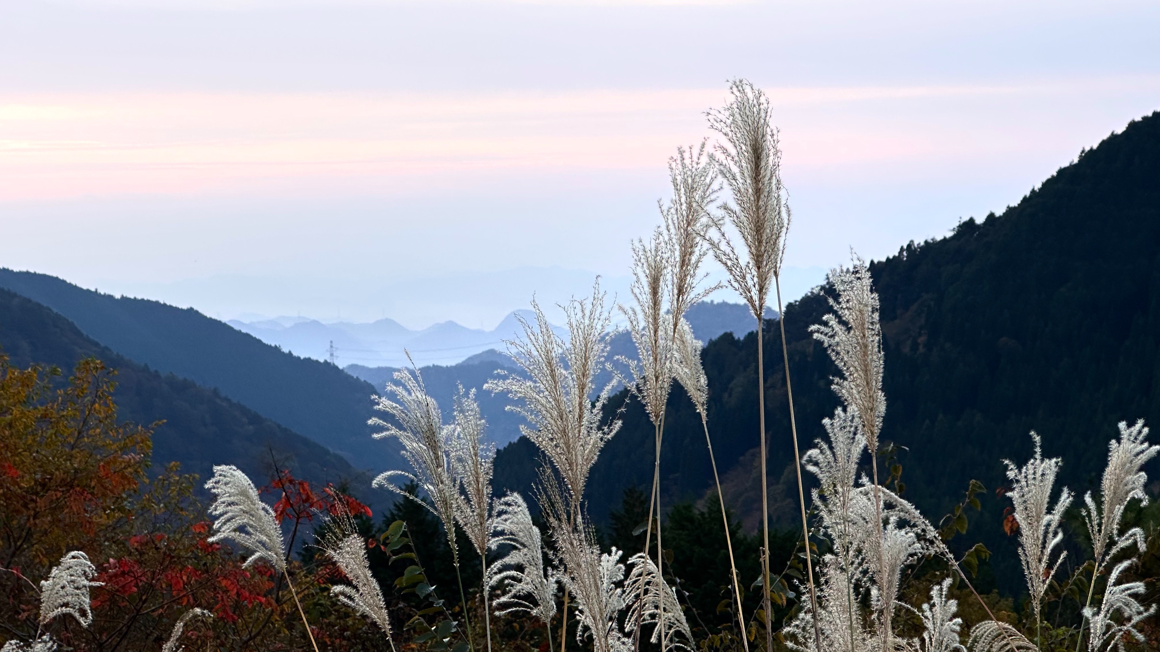 f:id:gaktraverse:20231106000440j:image f:id:gaktraverse:20231106000440j:image