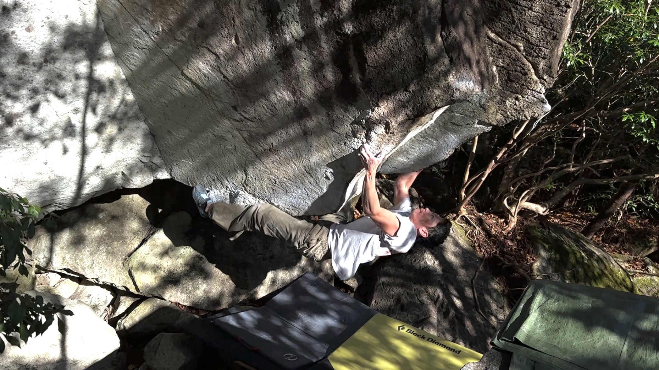f:id:gaktraverse:20231115160321j:image f:id:gaktraverse:20231115160321j:image