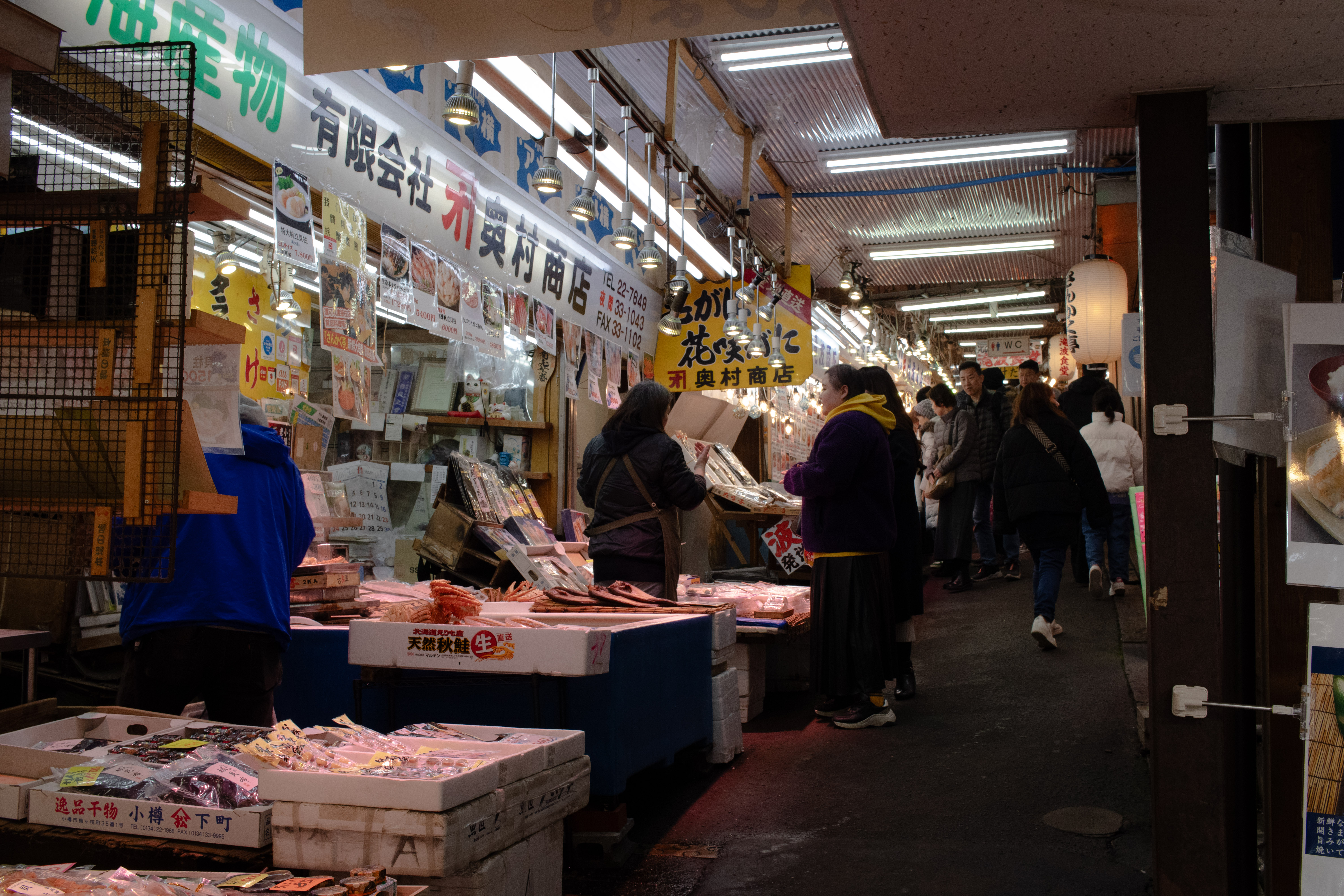 f:id:gaktraverse:20241125172848j:image