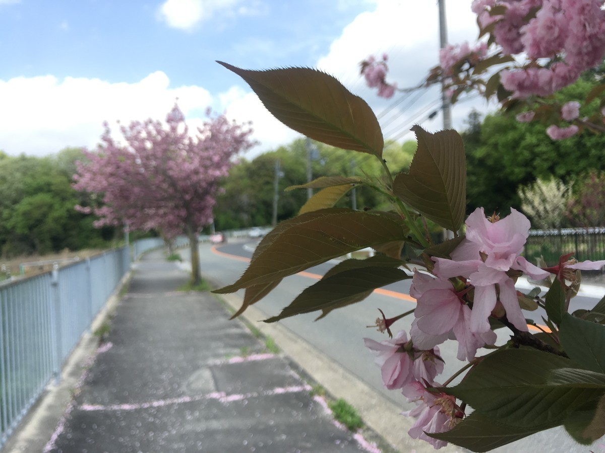 f:id:gaku-tokyo:20190502143459j:plain f:id:gaku-tokyo:20190502143459j:plain