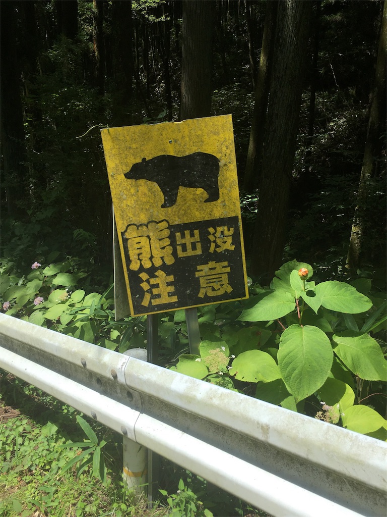 f:id:gakublog:20180814105555j:image f:id:gakublog:20180814105555j:image