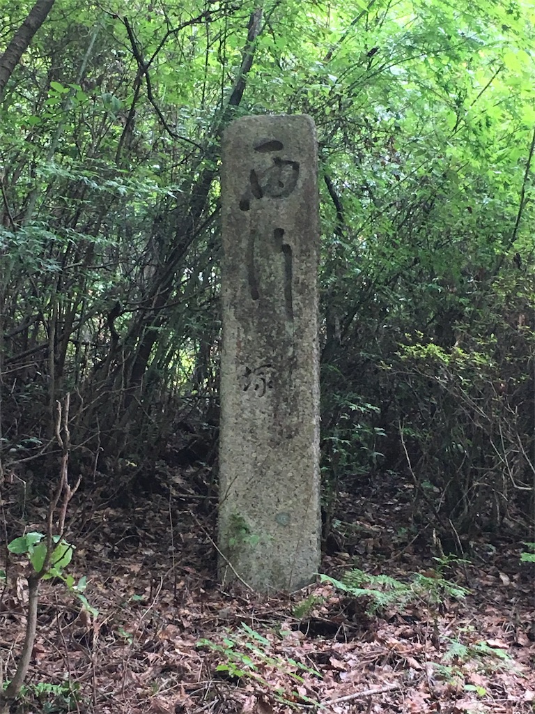 f:id:gakublog:20180815084005j:image f:id:gakublog:20180815084005j:image