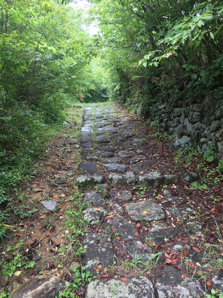 f:id:gakublog:20180815100129j:image f:id:gakublog:20180815100129j:image