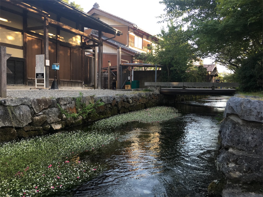 f:id:gakublog:20180817174650j:image f:id:gakublog:20180817174650j:image