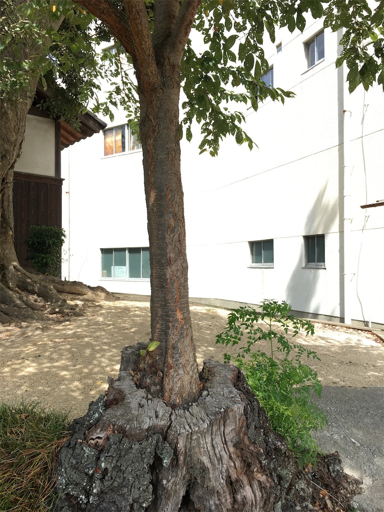 f:id:gakublog:20180819103512j:image f:id:gakublog:20180819103512j:image